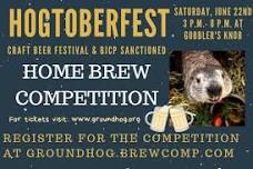 flyer for Hogtoberfest Craft Beer Festival