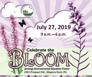 bloom fest flyer